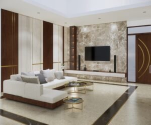 Premium living room design